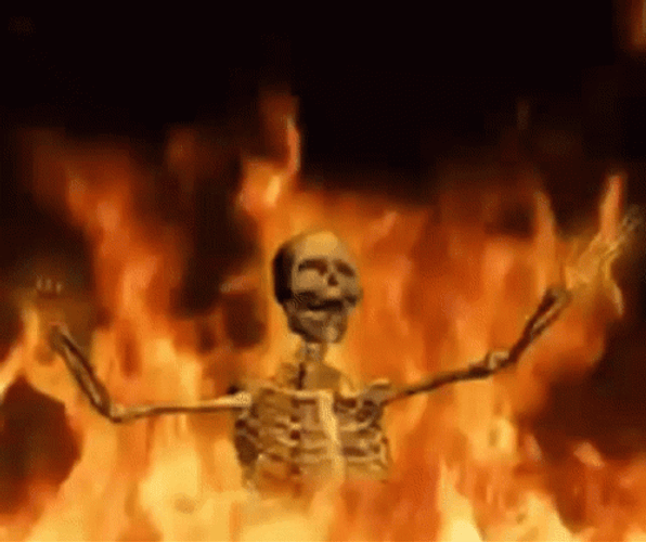 Skeleton